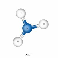 氨氣標準氣（NH3）