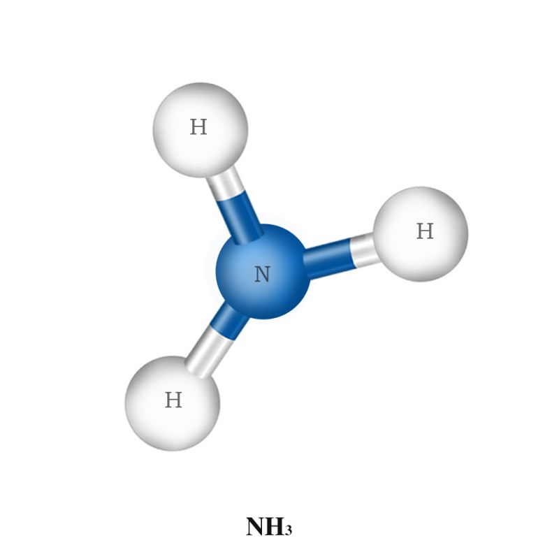 氨氣標準氣（NH3）